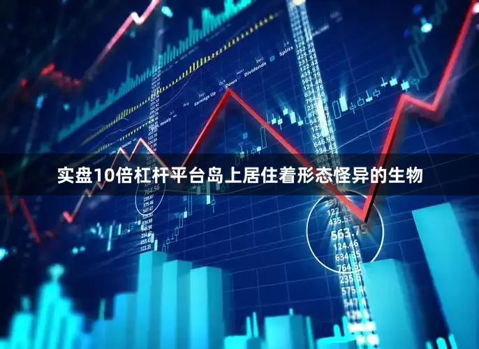 实盘10倍杠杆平台岛上居住着形态怪异的生物
